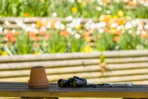 Binoculars and Plant Pot on Table on the Garden