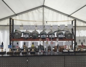 Beers at the Beer Festival