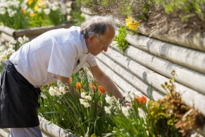 Chef Picking Flowers